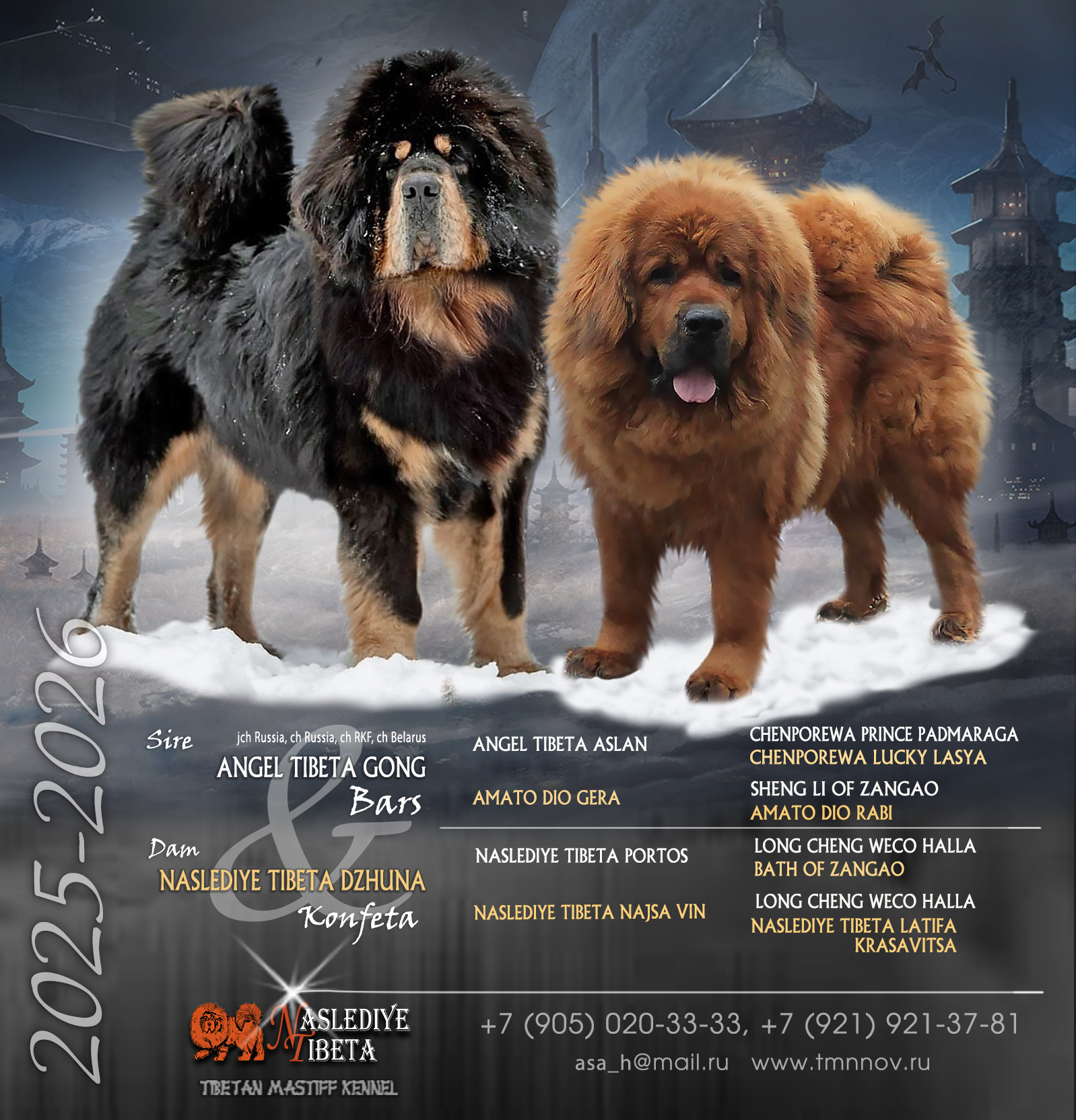 Пара Барс и Конфета