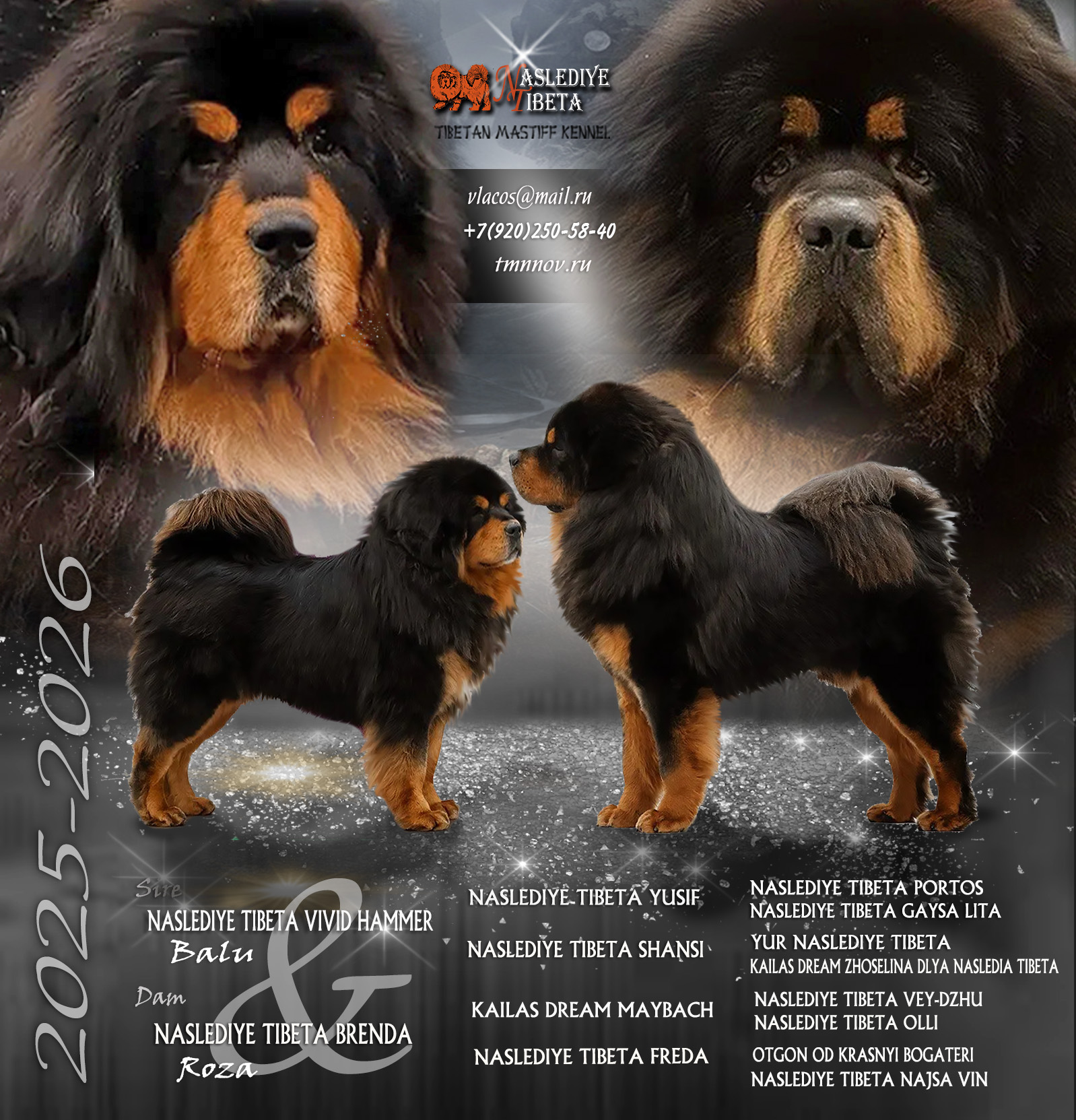 Пара Балу и Роза