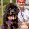 Щенки от пары Ерик х Конфета
