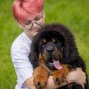 Щенки от пары Ерик х Конфета